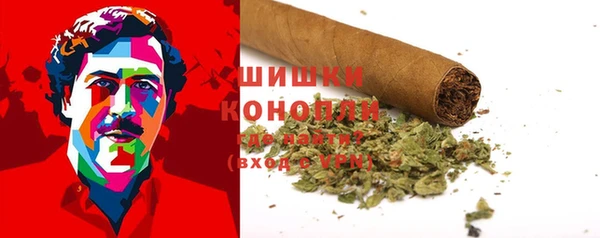 гидра Карталы