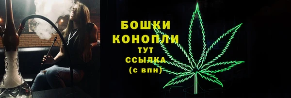 гидра Карталы