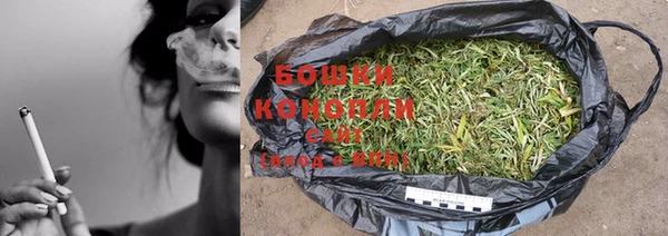 гидра Карталы