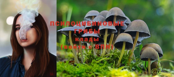 МДПВ Касимов